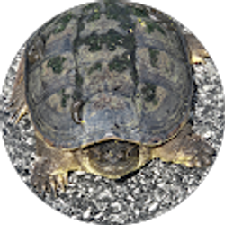 Profile photo of Ethan Hunter