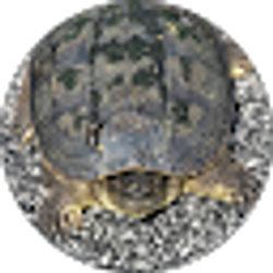 Profile photo of Ethan Hunter