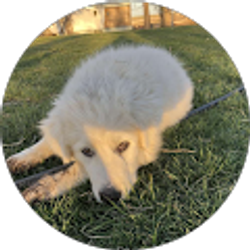 Profile photo of Breanna Berndt