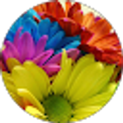 Profile photo of MOHAMED HASANAIN