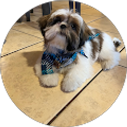 Profile photo of Charlie Thompson