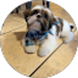 Profile photo of Charlie Thompson