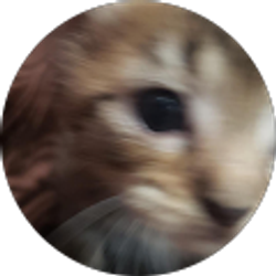 Profile photo of Mari