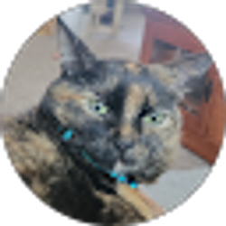 Profile photo of Kate McCloud