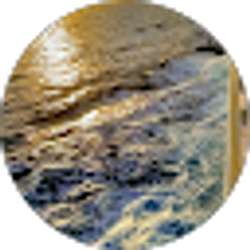 Profile photo of Casy House
