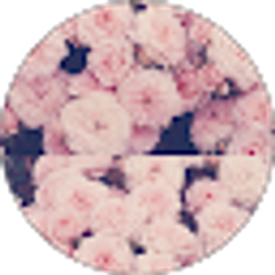 Profile photo of Junnah M