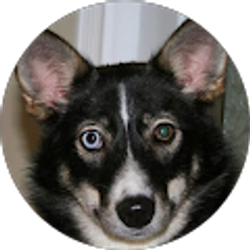 Profile photo of Heidi Woods