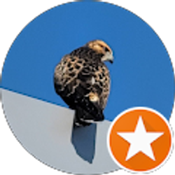 Profile photo of Gu Hu