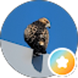 Profile photo of Guin H