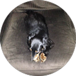 Profile photo of Justin Turney