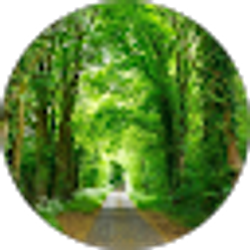 Profile photo of Rumki De