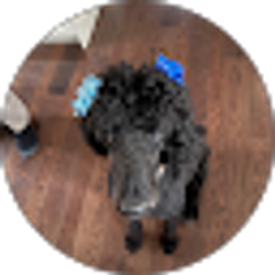 Profile photo of Joann Makdad