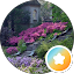 Profile photo of clzz1974