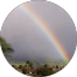 Profile photo of Michelle Smith