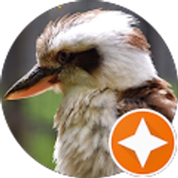 Profile photo of j w