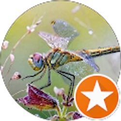 Profile photo of Mary Stokes