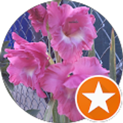 Profile photo of Mary Smith