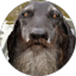 Profile photo of Britt Outdoors