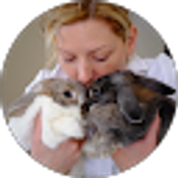 Profile photo of Shannon McKeegan