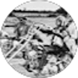 Profile photo of Nomad 4 Life