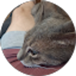 Profile photo of Macy Lewars
