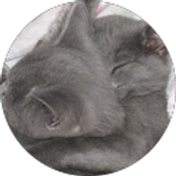 Profile photo of Isabella Victoria