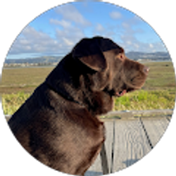 Profile photo of David Hein