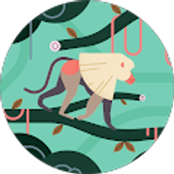 Profile photo of Nathnael Abraham