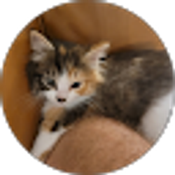 Profile photo of Stephanie Bosmanhuuyyy7677667 6th grade