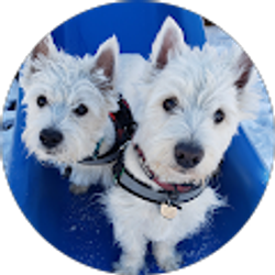 Profile photo of Barbara Shafer