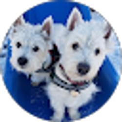 Profile photo of Barbara Shafer