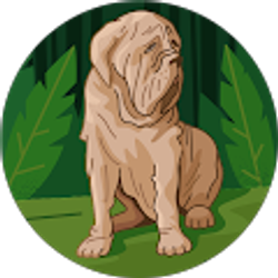 Profile photo of Chad Juenke