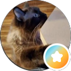 Profile photo of ImAcatCA133