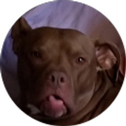 Profile photo of Ginny Potter