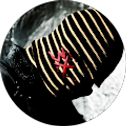 Profile photo of Deangelo March