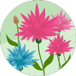 Profile photo of Cindy Nunnally