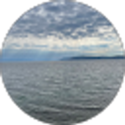 Profile photo of Alina Karachun