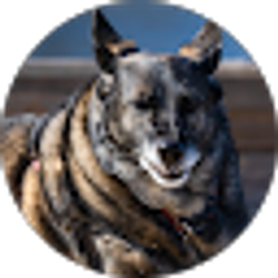 Profile photo of Mark Melin