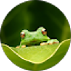 Profile photo of RL Gutierrez