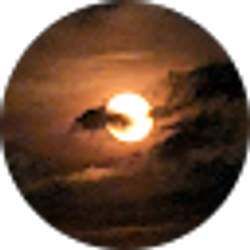 Profile photo of Jason Verbison