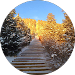 Profile photo of Sabo Salinas