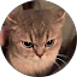 Profile photo of Jenny