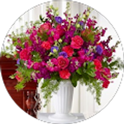 Profile photo of Mohamad Omar