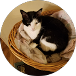 Profile photo of Terri Allen