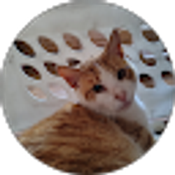 Profile photo of Mason Milburn