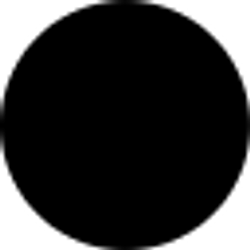 Profile photo of Kris Brady