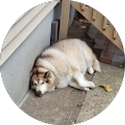 Profile photo of Thuy An Tran