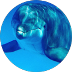 Profile photo of Virginia Ford