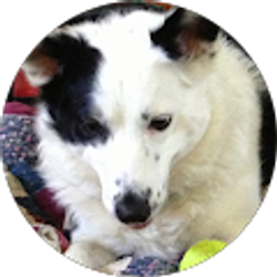 Profile photo of rls 78