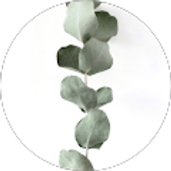 Profile photo of Minelba Estrada